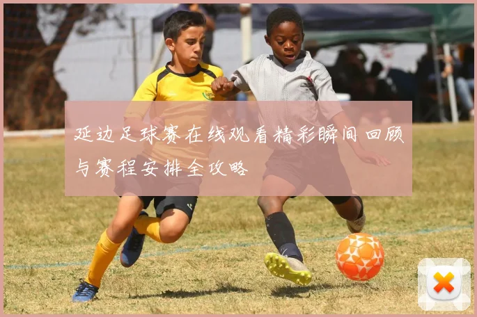 延边足球赛在线观看精彩瞬间回顾与赛程安排全攻略